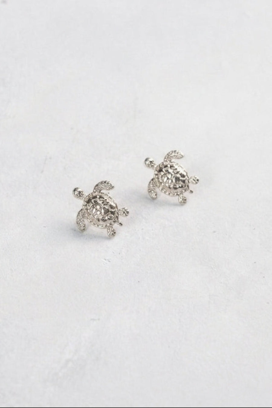 Aretes tortuga plateada