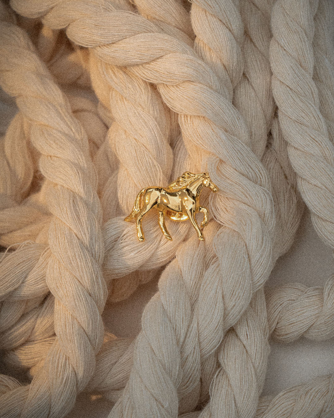 Pin Caballo