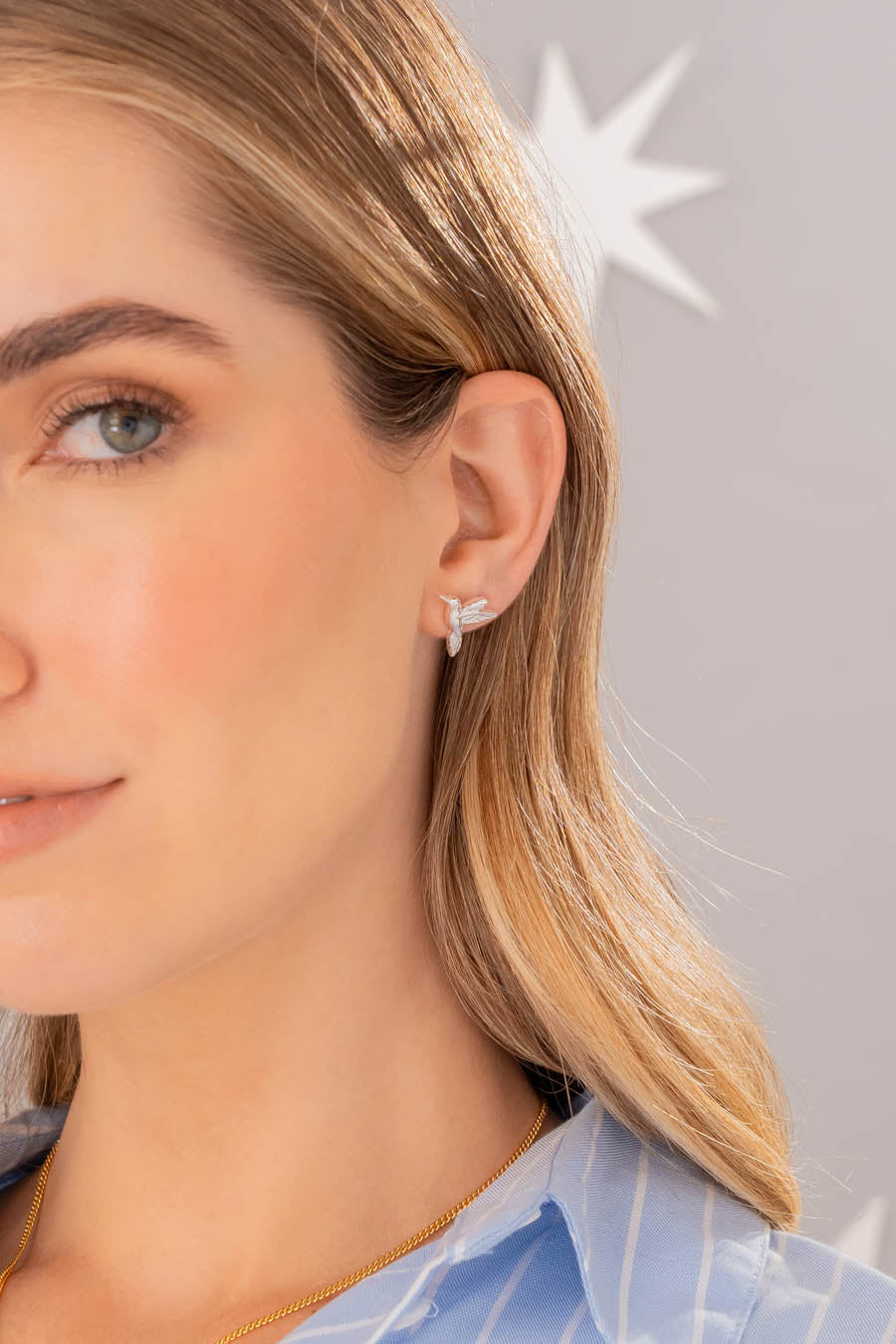 Aretes Colibrí Plata