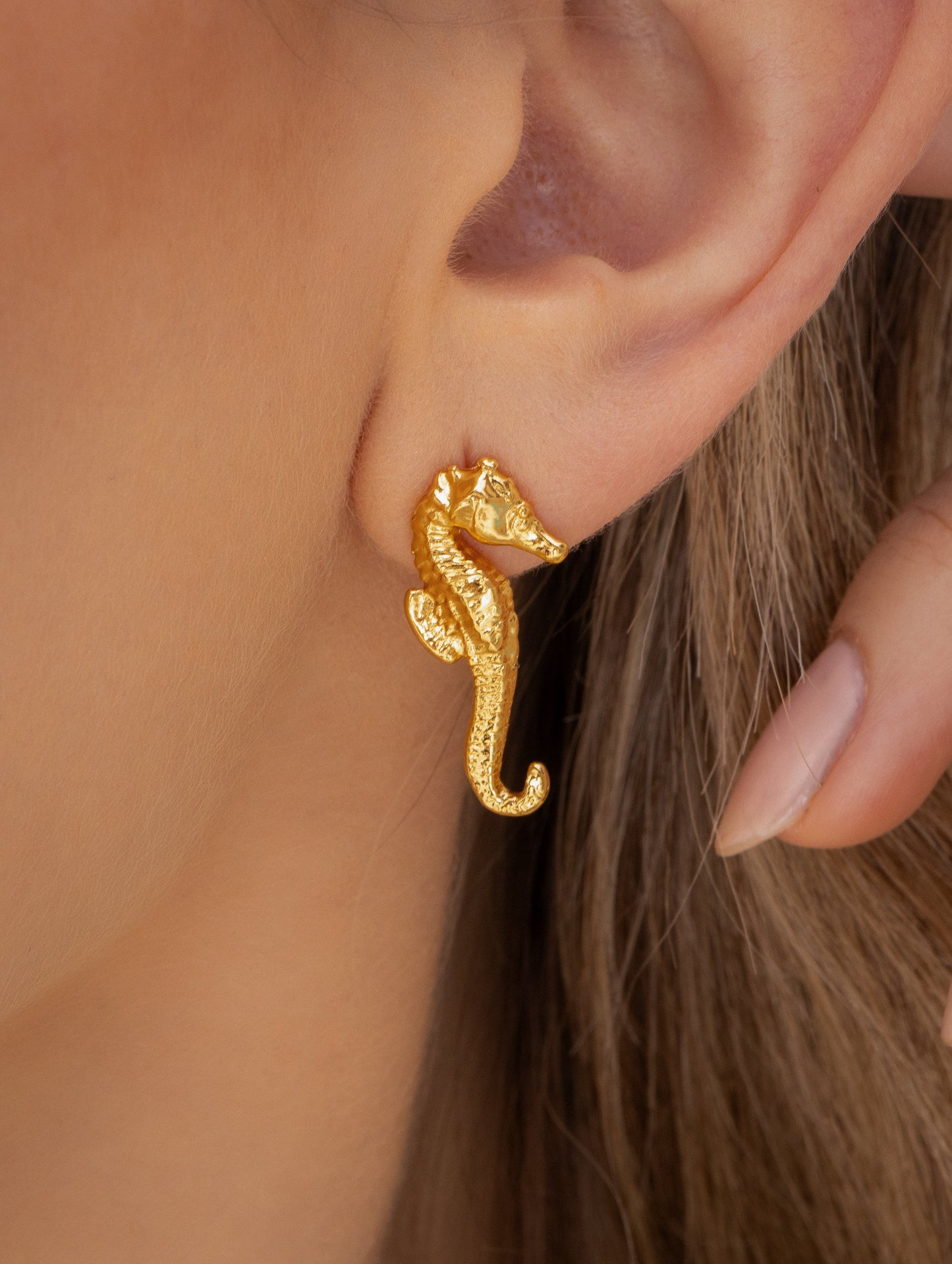 Aretes Caballito de Mar