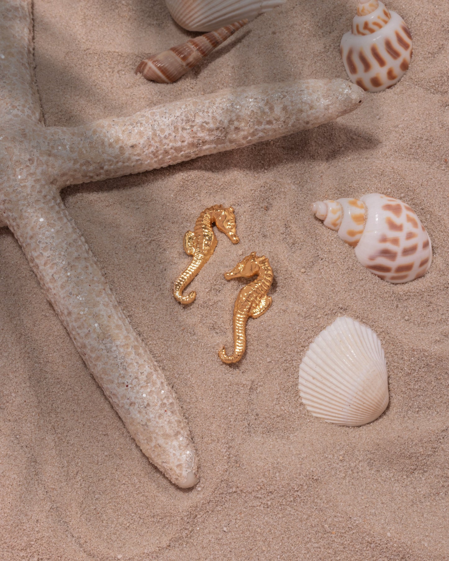Aretes Caballito de Mar