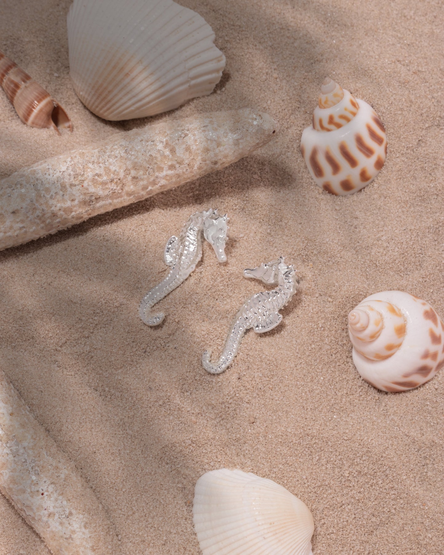 Aretes Caballito de Mar