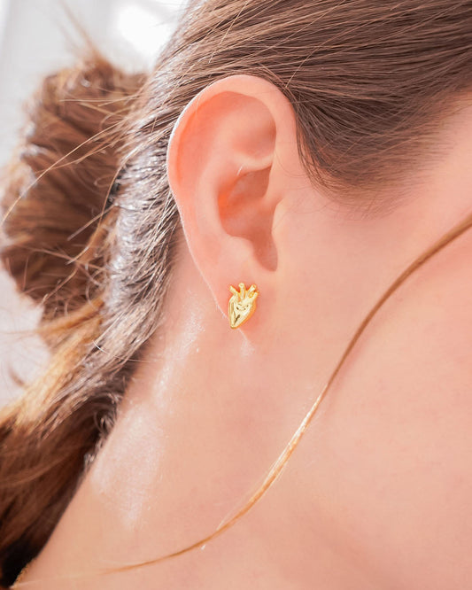 Aretes Corazón Anatómico