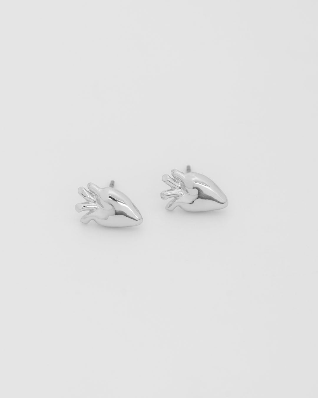 Aretes Corazón Anatómico