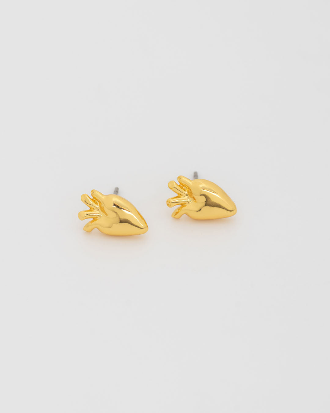 Aretes Corazón Anatómico