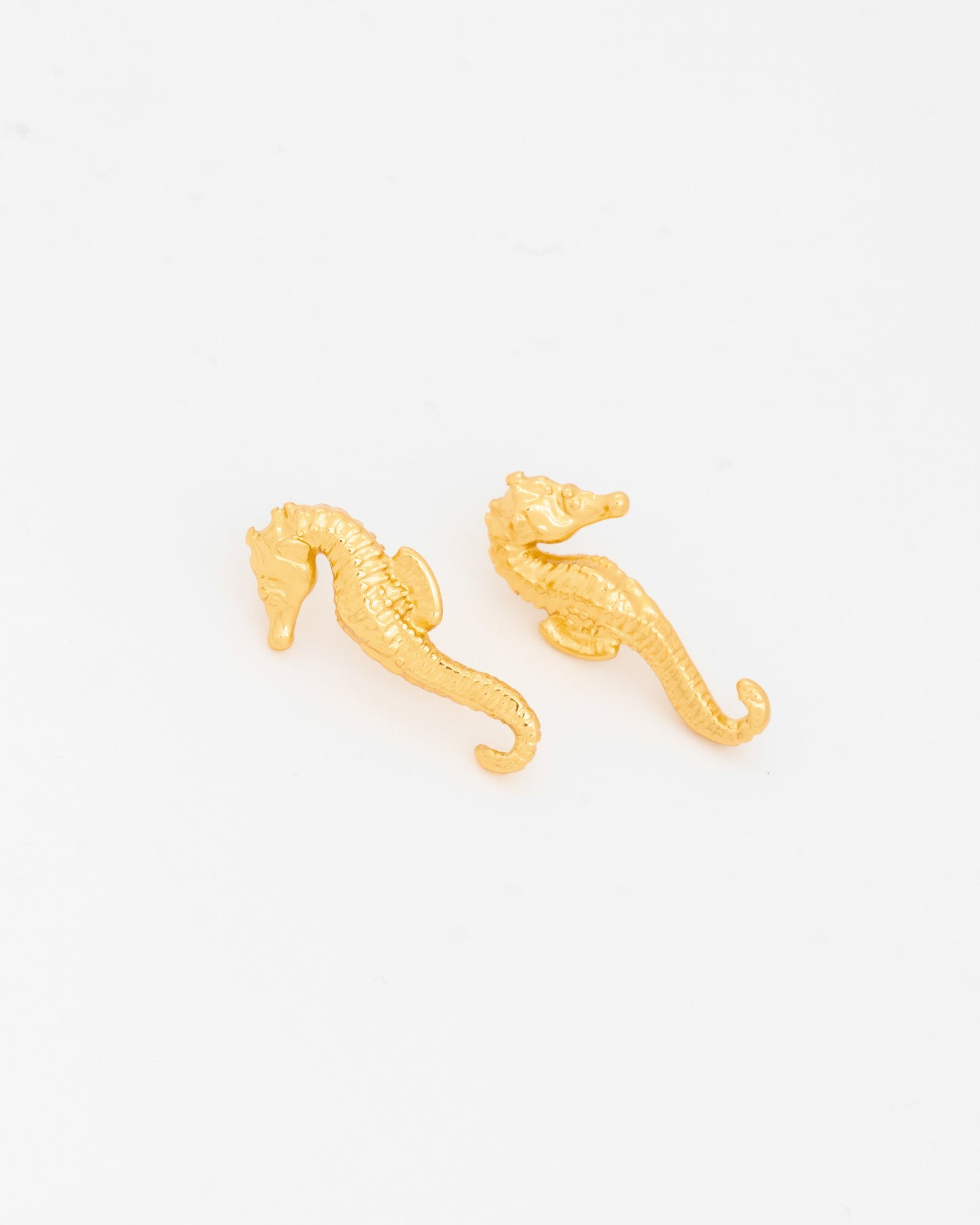 Aretes Caballito de Mar