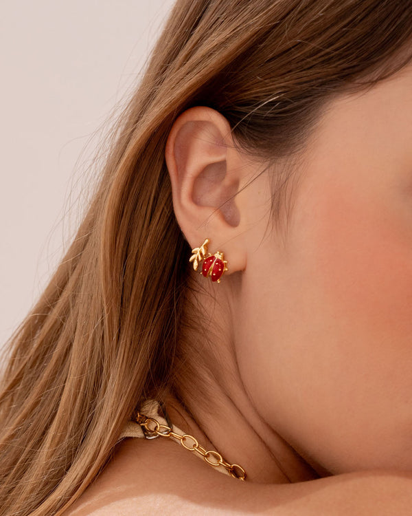 Set X4 Aretes Primavera