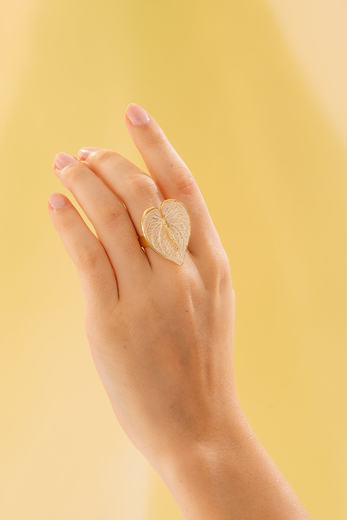 Anillo Anturio Blanco Graduable