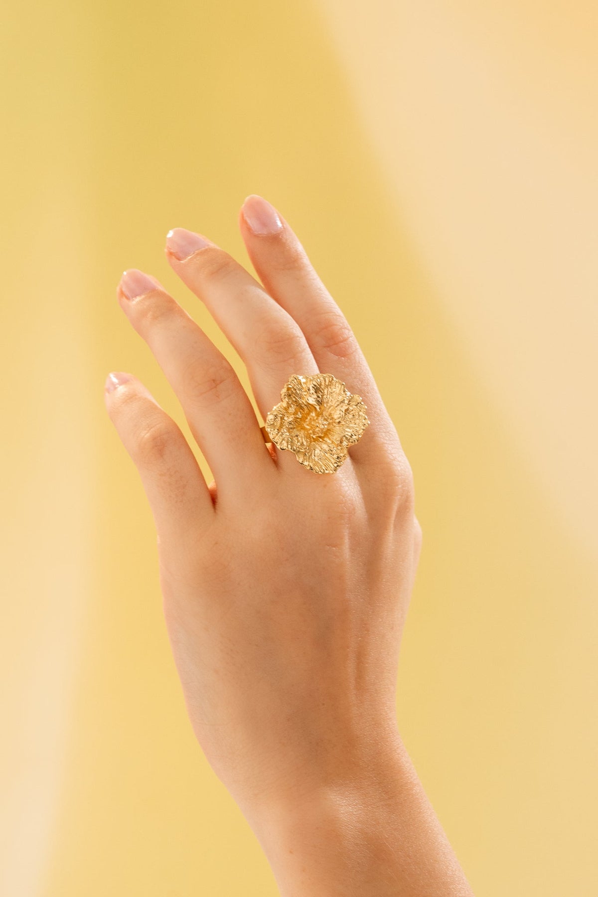 Anillo Cayena Graduable