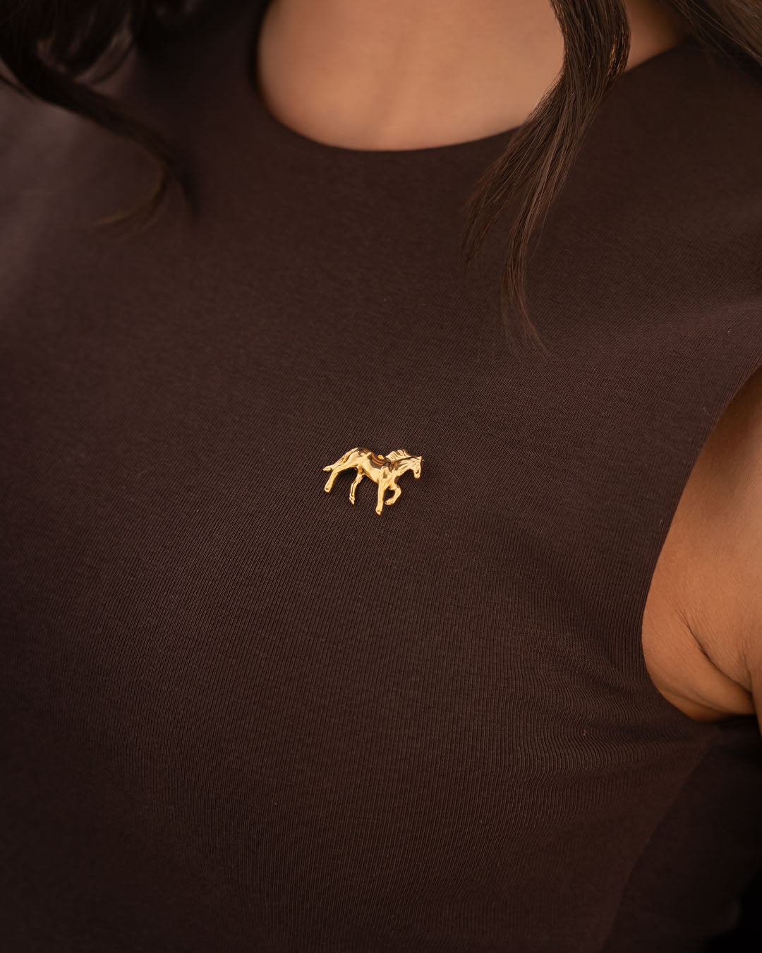 Pin Caballo
