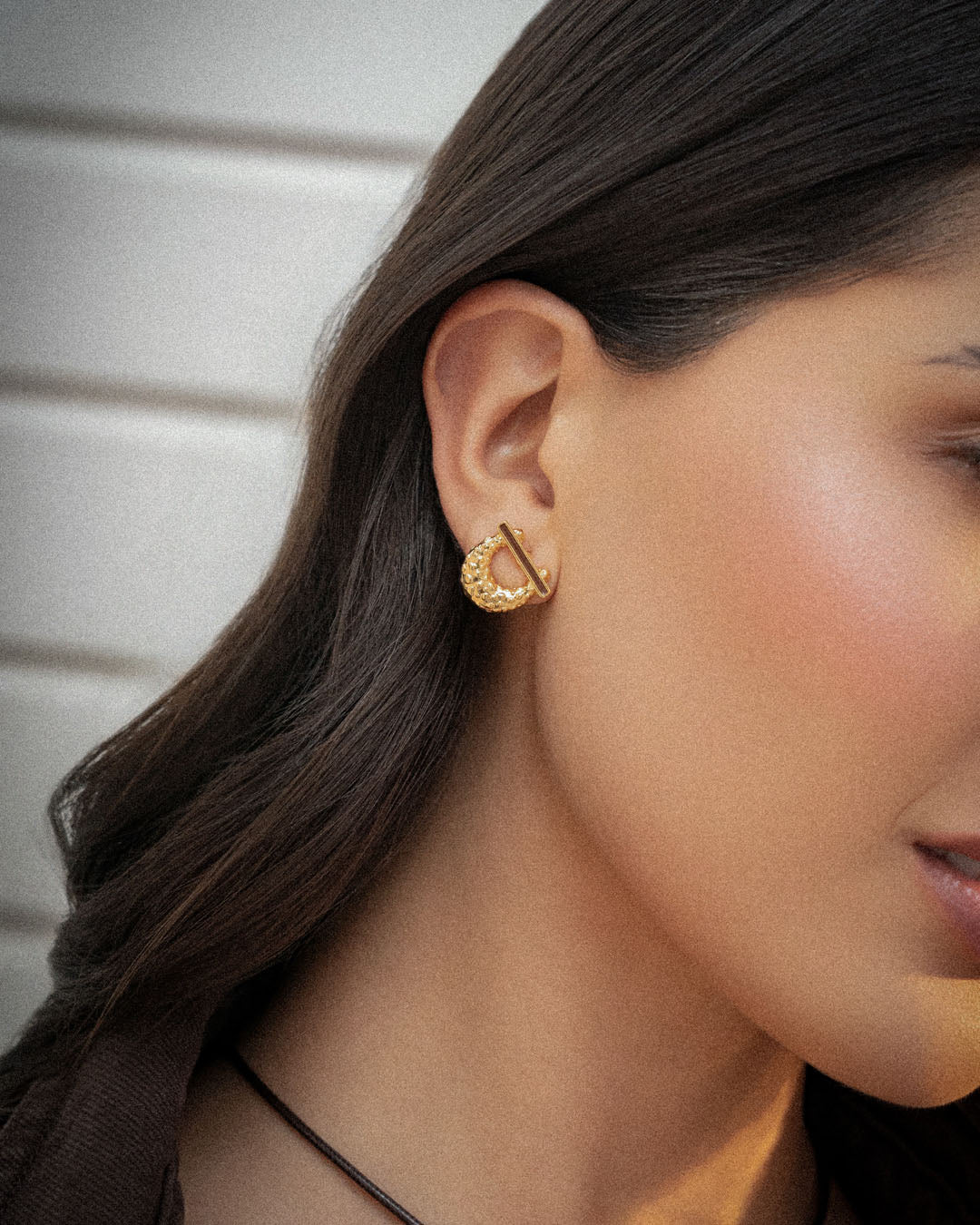 Arete Herradura Animal Print