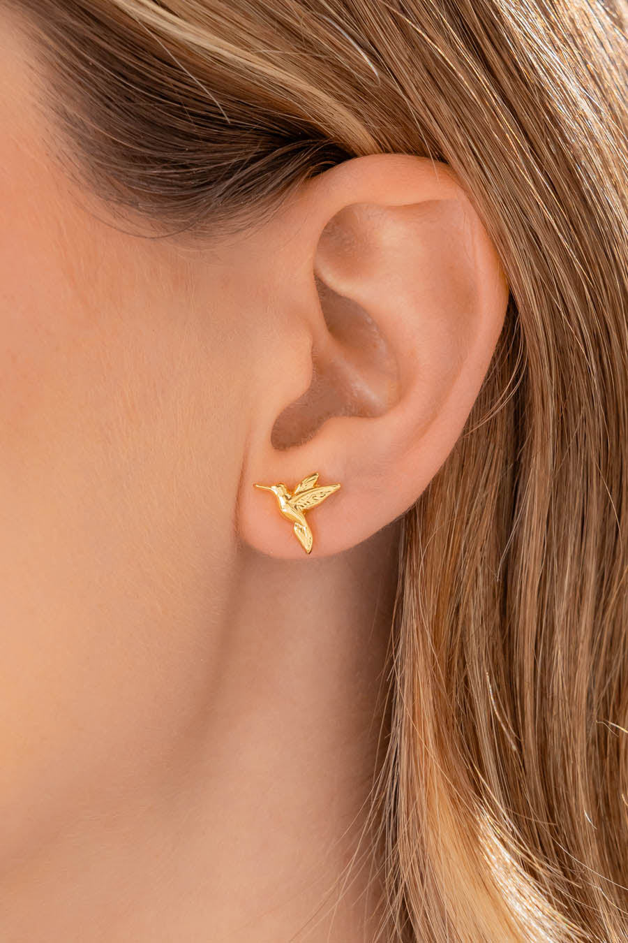 Set X3 Aretes Colibrí