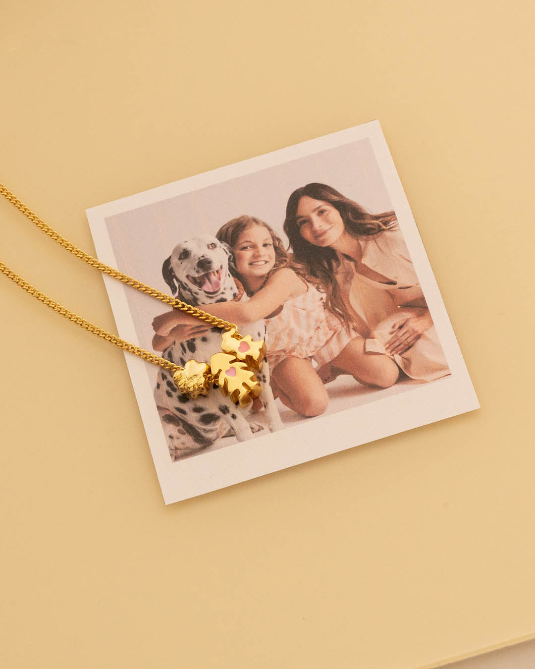 Collar Personalizado Familia