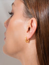 Candonga XS Oro